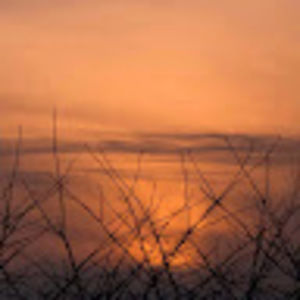 Meet your Posher, Louey